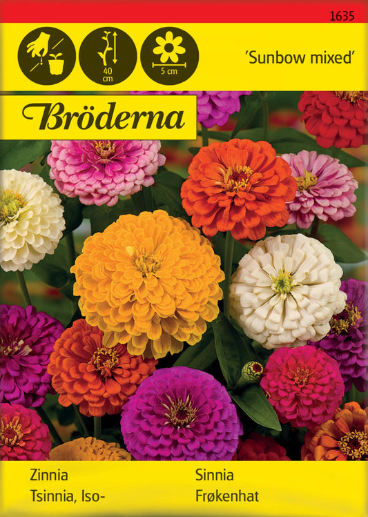 Zinnia. Sunbow. bl färger