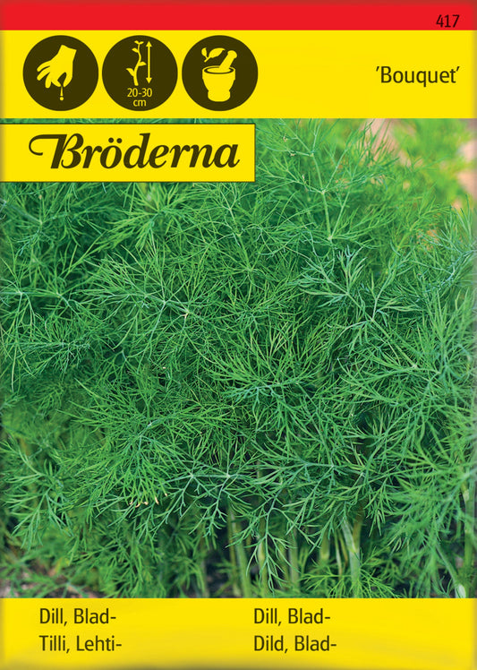 Dill. Blad-. Bouquet